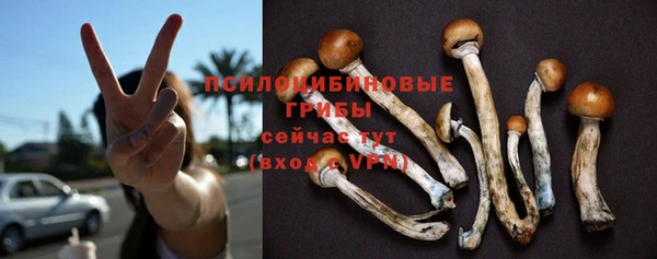 первитин Арсеньев