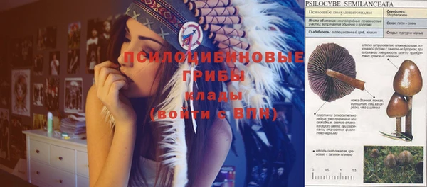 Альфа ПВП Армянск